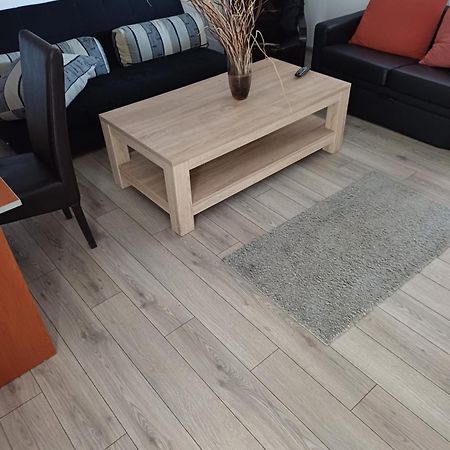 טימישוארה Apartament Cu Terasa La Casa Tina מראה חיצוני תמונה