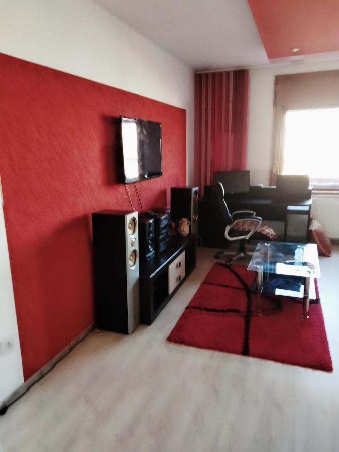 טימישוארה Apartament Cu Terasa La Casa Tina מראה חיצוני תמונה