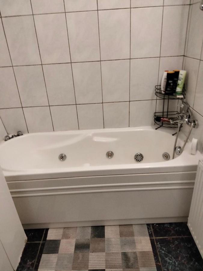 טימישוארה Apartament Cu Terasa La Casa Tina מראה חיצוני תמונה