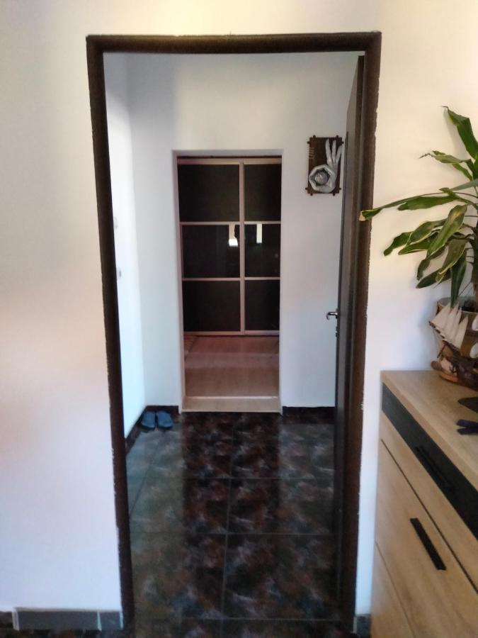 טימישוארה Apartament Cu Terasa La Casa Tina מראה חיצוני תמונה