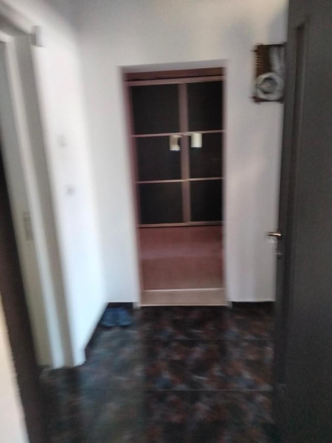 טימישוארה Apartament Cu Terasa La Casa Tina מראה חיצוני תמונה