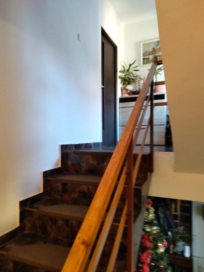 טימישוארה Apartament Cu Terasa La Casa Tina מראה חיצוני תמונה
