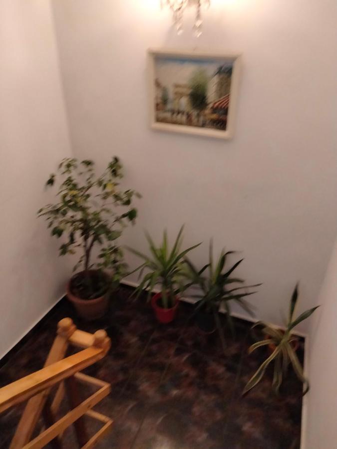 טימישוארה Apartament Cu Terasa La Casa Tina מראה חיצוני תמונה