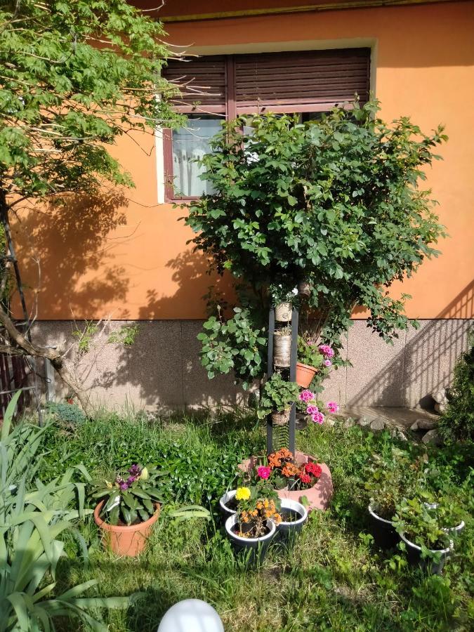 טימישוארה Apartament Cu Terasa La Casa Tina מראה חיצוני תמונה