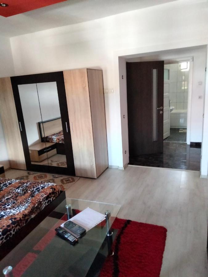 טימישוארה Apartament Cu Terasa La Casa Tina מראה חיצוני תמונה