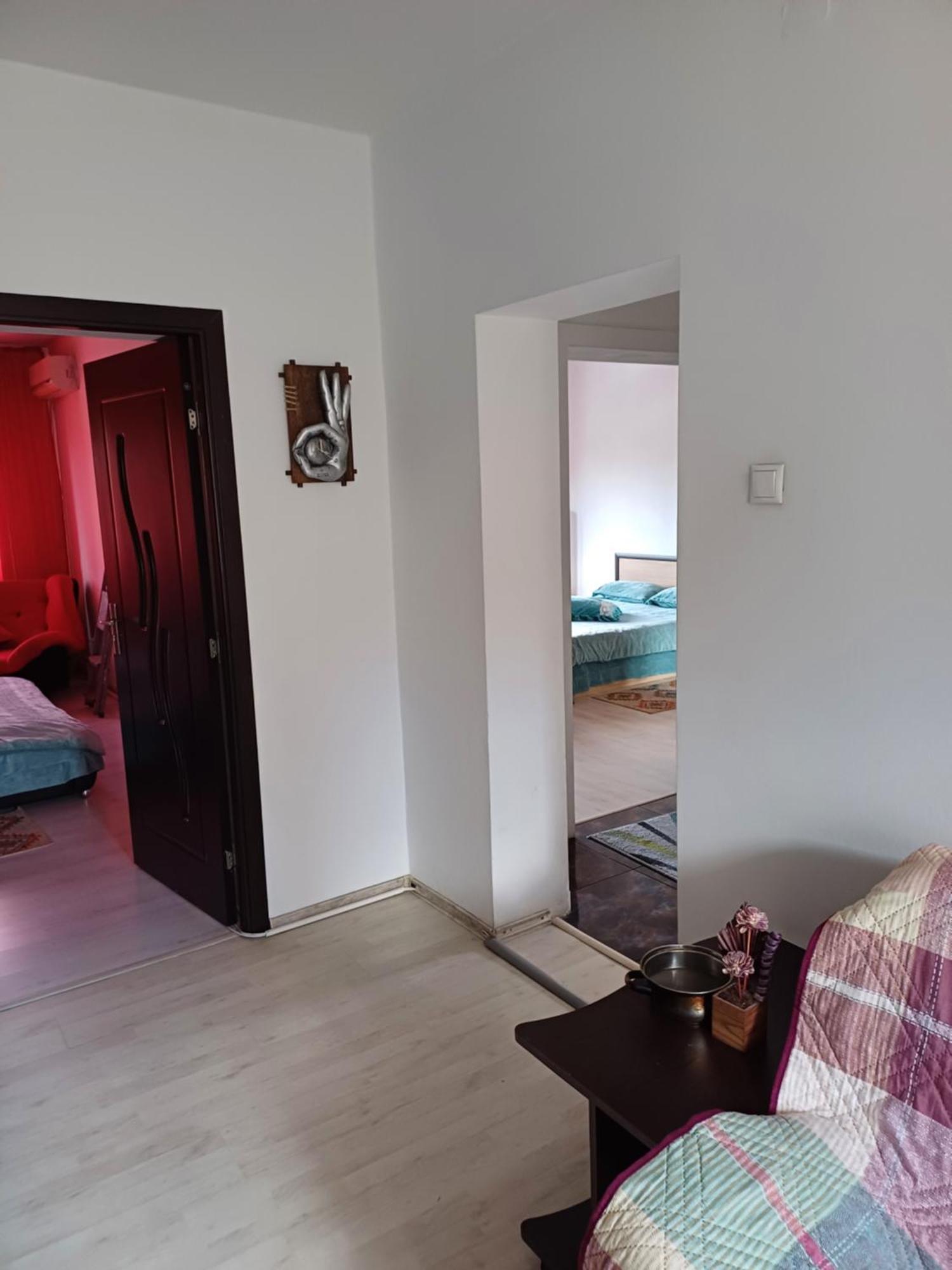 טימישוארה Apartament Cu Terasa La Casa Tina מראה חיצוני תמונה
